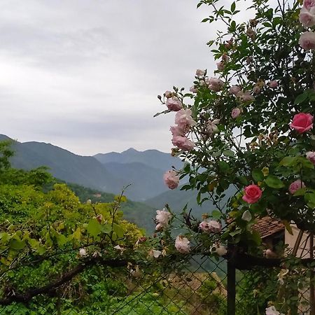 Belvédère L'Ibrus Blue B&B 외부 사진