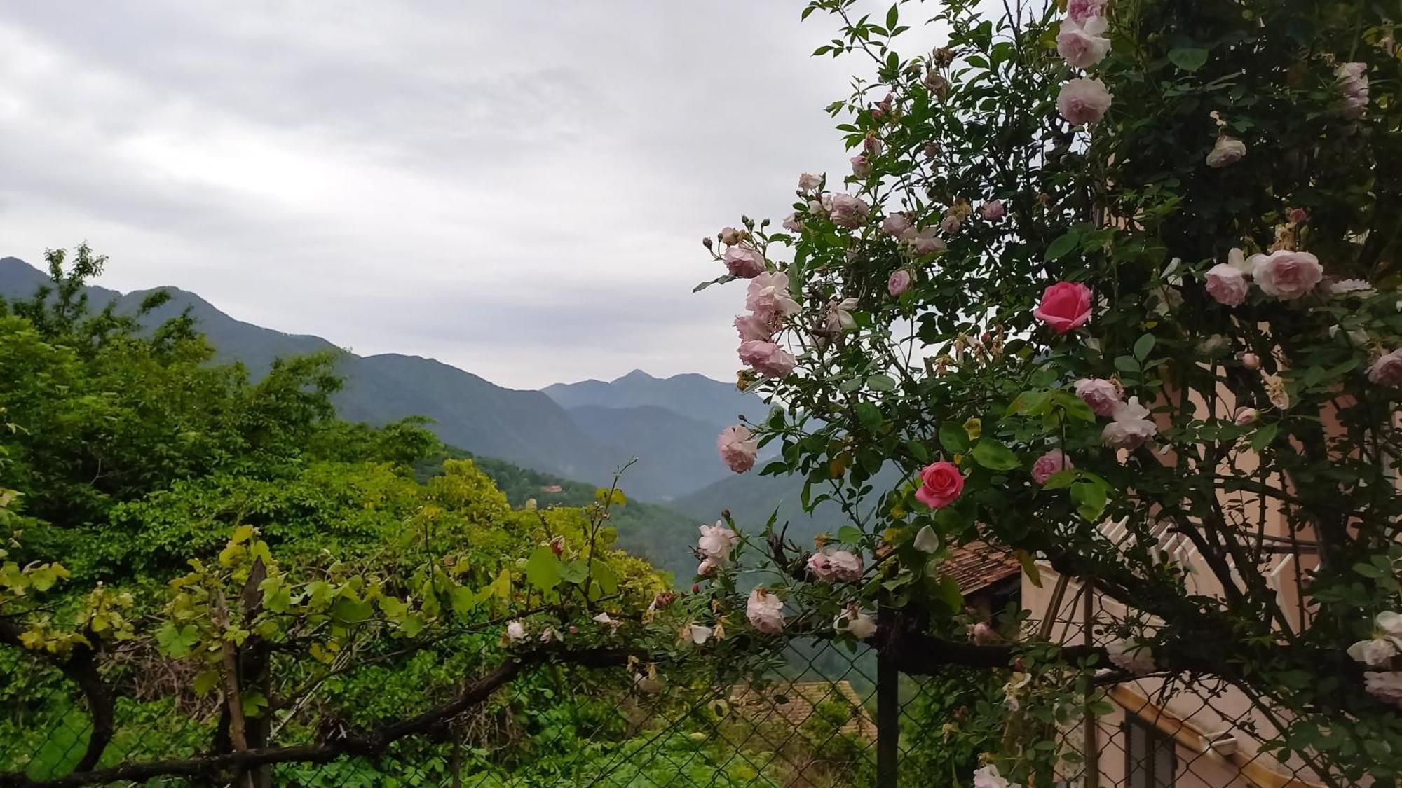 Belvédère L'Ibrus Blue B&B 외부 사진